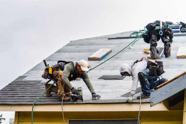 Professional Gutter Installation technician working in Butler, GA